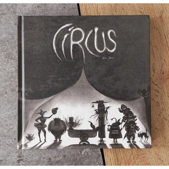 Circus