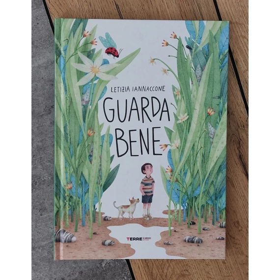 Letizia Iannaccone: GUARDA BENE, Terre di Mezzo-silent book