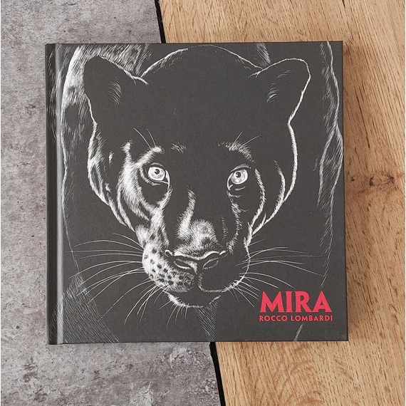 Rocco Lombardi: MIRA, #logosedizioni-silent book