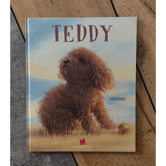 Guojing: TEDDY, Von Hacht Verlag-silent book