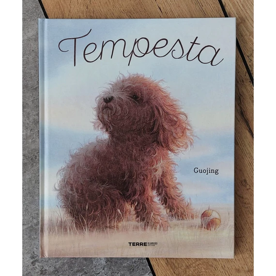 Guojing: Tempesta, Terre di Mezzo-silent book